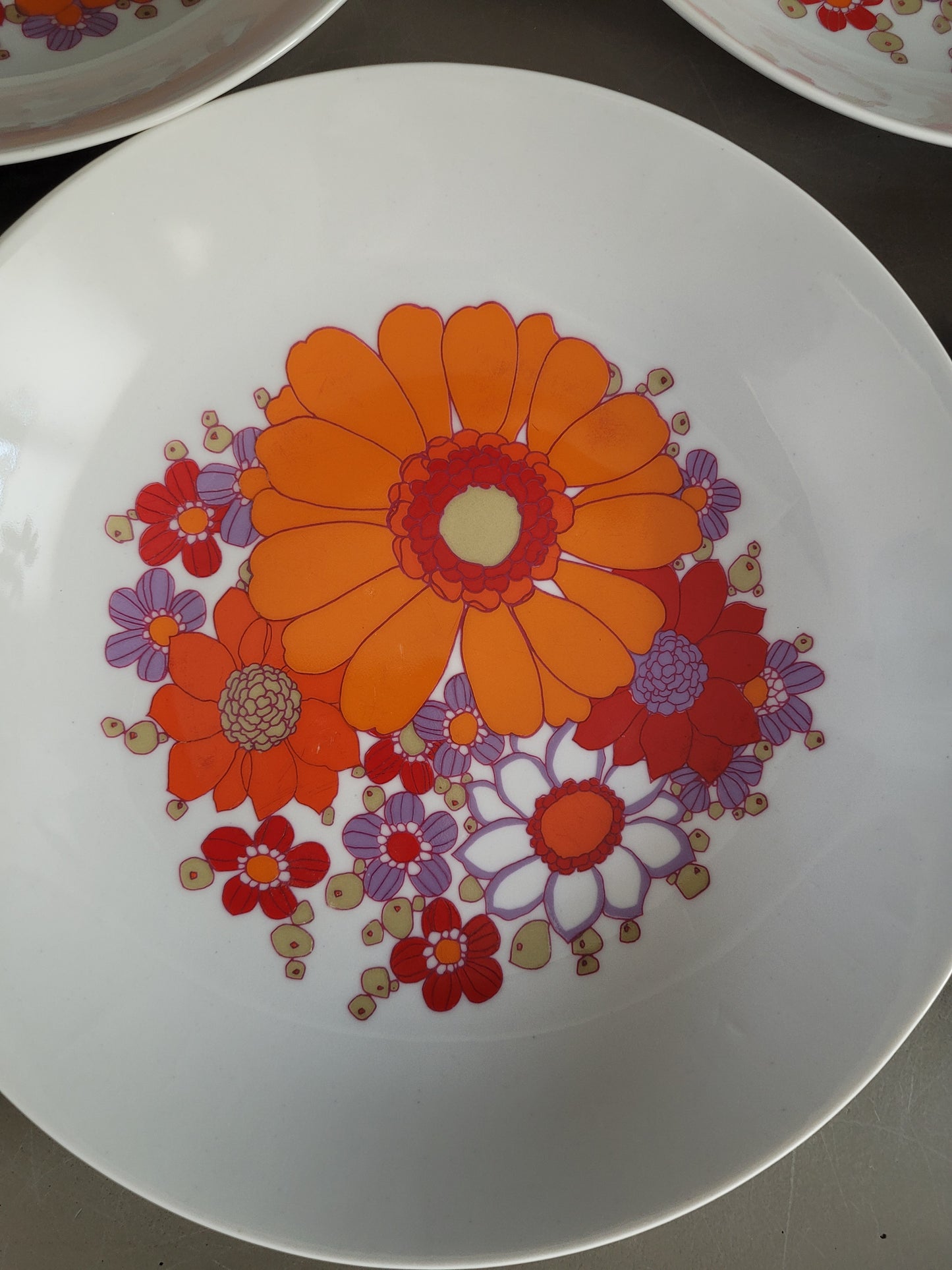 8 assiettes vintage Wunsiedel Bavaria - Ref 817