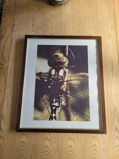 Tableau photo vintage Libellule - Ref 39