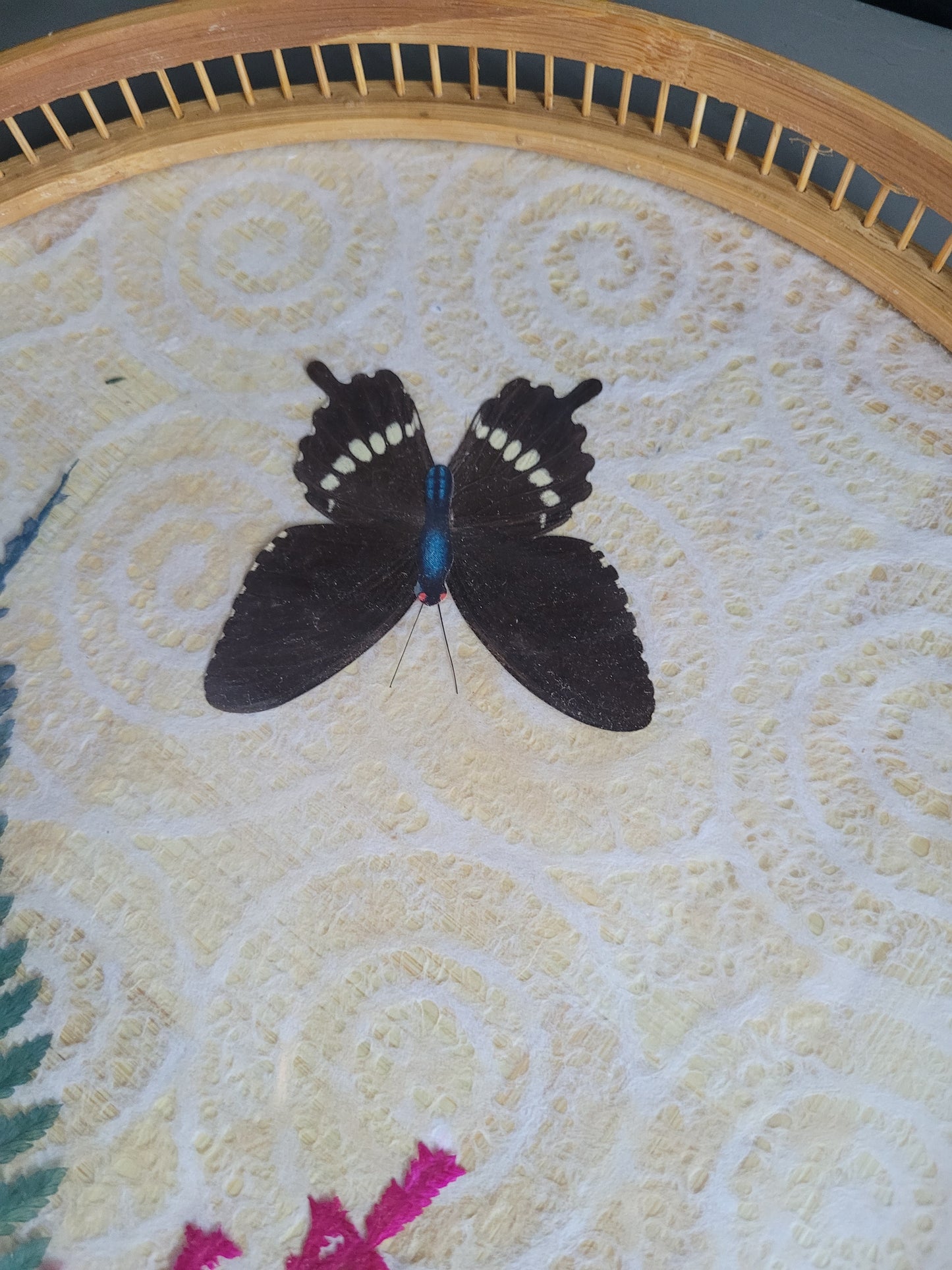 Plateau et 6 sous-verres papillons vintages en bambou - Ref 465