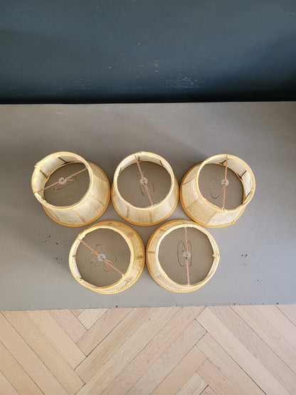 Lot de 5 abat-jour à pince en vessie de porc - Ref 848