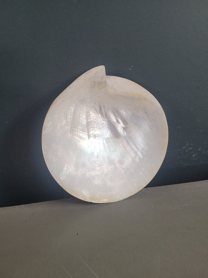 Vide-poche coquillage- Ref 843