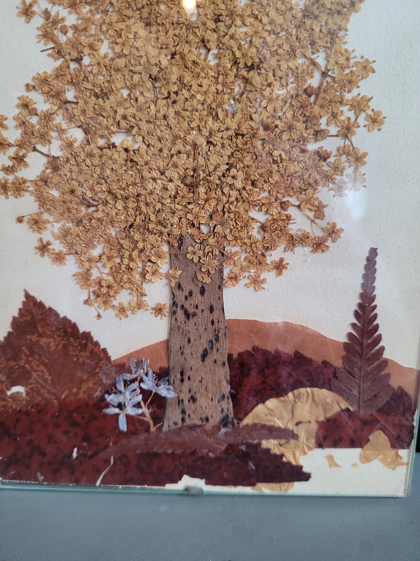 Composition florale sous verre, fleurs séchées - Ref 611