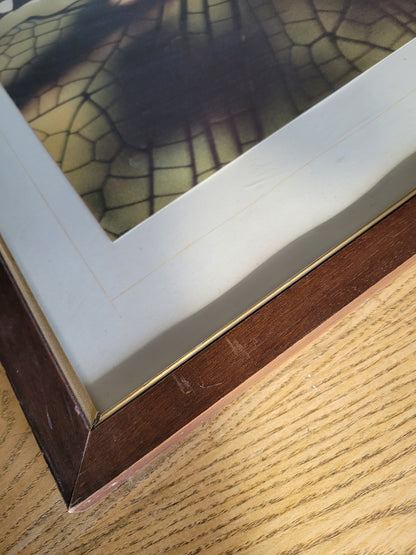 Tableau photo vintage Libellule - Ref 39