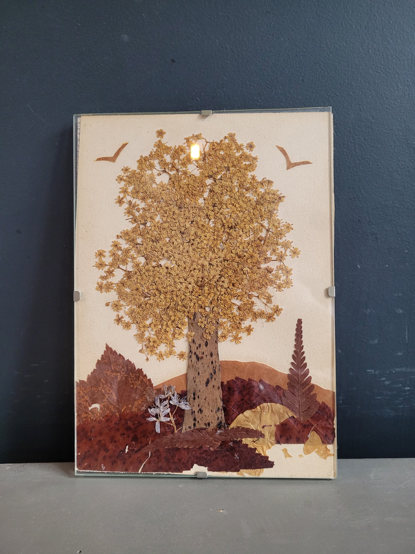 Composition florale sous verre, fleurs séchées - Ref 611