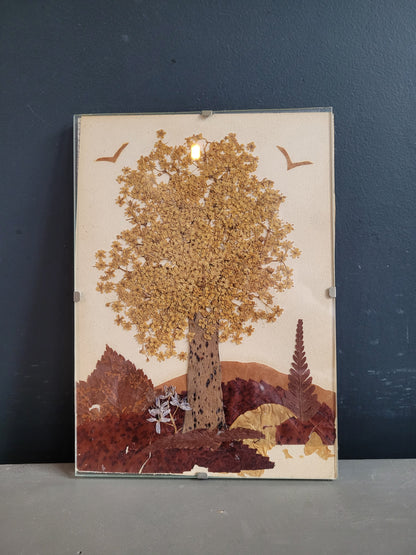 Composition florale sous verre, fleurs séchées - Ref 611